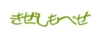 Authentication image